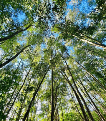 Our sustainable journey