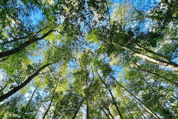 Our sustainable journey